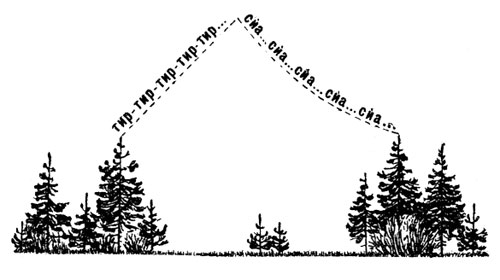 Рис. 43. Схема токового полета лесного конька